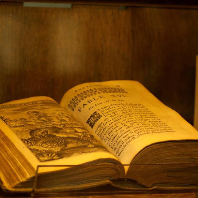 sculpture-fabuliste-jean-de-la-fontaine-fables-maison-natale-musee-chateau-thierry