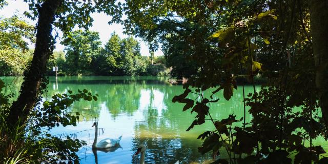 bords-marne-nature-portes-de-la-champagne