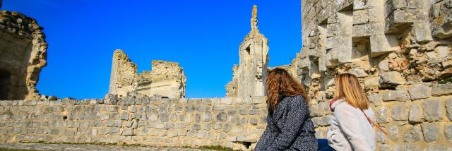 vestiges-chateau-de-fere-fere-en-tardenois-portes-champagne-sud-aisne