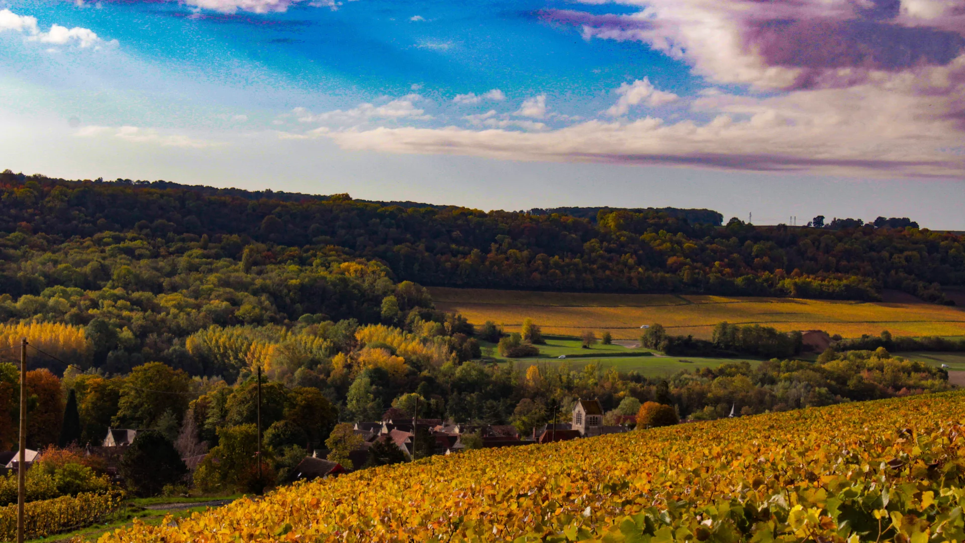 gland-portes-champagne-vignoble-vignes-raisin
