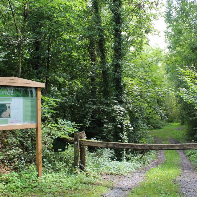 Etang de la Conge at Etampes-sur-Marne