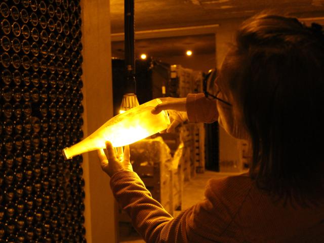 champagne-meteyer-vignoble-trelou-sur-marne