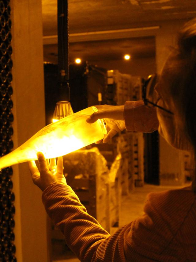 champagne-meteyer-vignoble-trelou-sur-marne