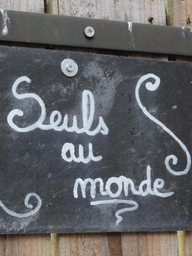 nid-dans-bruyeres-fere-en-tardenois-porte-champagne-insolite