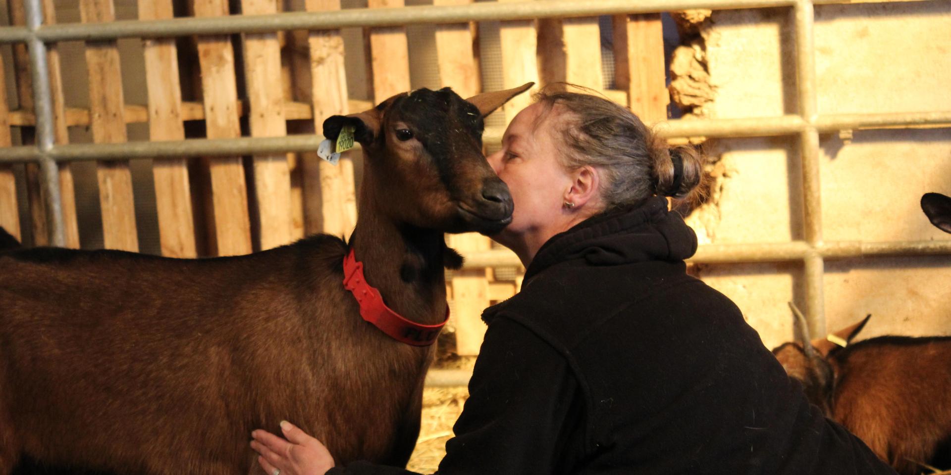 biquettes-bruyeres-fere-en-tardenois-fromage-chevre-chevreau-portes-champagne