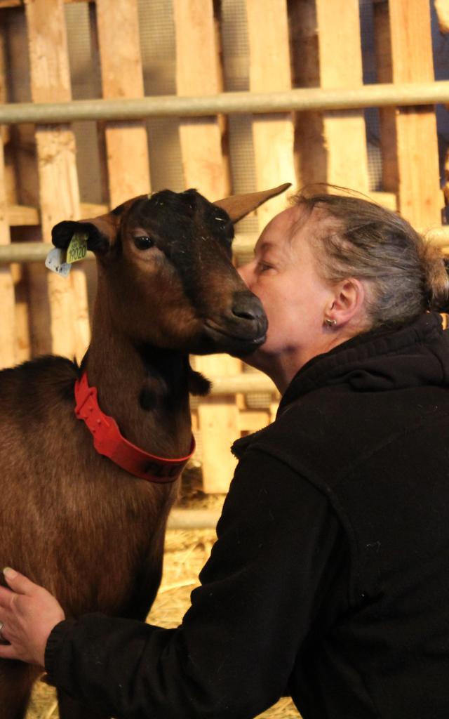 biquettes-bruyeres-fere-en-tardenois-fromage-chevre-chevreau-portes-champagne