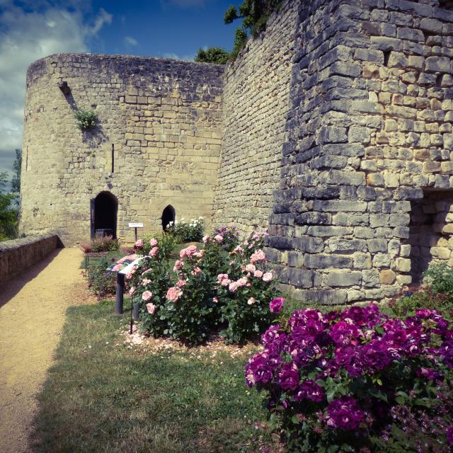 Whores in Château-Thierry