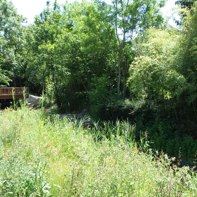 Rudenoise trail in Charly-sur-Marne