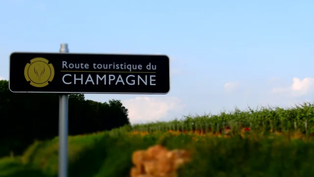 marne-hautsdefrance-champagnebrut-champagnerose-champagnemillesime-champagnedevigneron-routetouristiqueduchampagne-vigne-vignoble-producteur-manipulant-oenotourisme-vigneronindependant-experience-maisonchampagne-vendange-raisin-coteaux-rangsdevigne-vallee-omois-liage-palissage-lesbois-fossoy