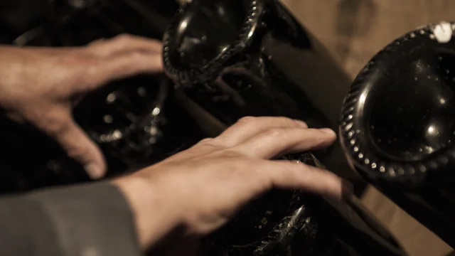 cave-pannier-chateau-thierry-aisne-hauts-france-marne-hautsdefrance-champagnebrut-champagnerose-champagnemillesime-champagnedevigneron-routetouristiqueduchampagne-vigne-vignoble-producteur-manipulant-oenotourisme-vigneronindependant-experience-maisonchampagne-vendange-raisin-coteaux-rangsdevigne-vallee-omois-liage-palissage-lesbois